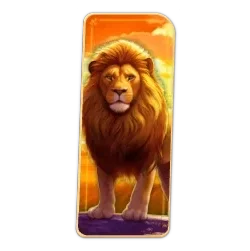 Lion
Safari